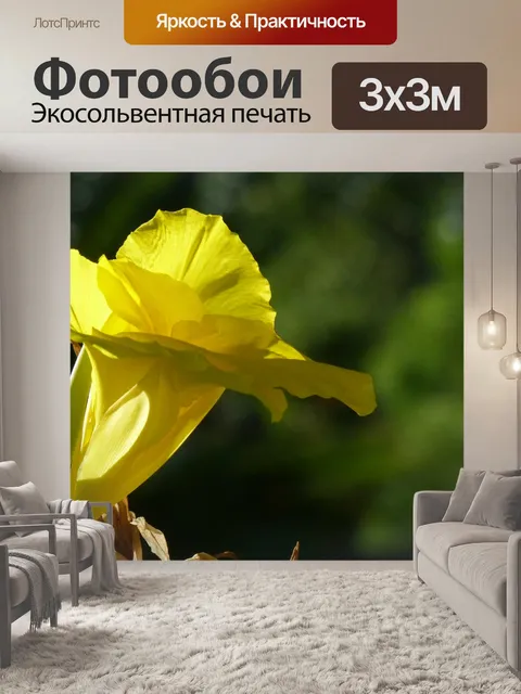 Фотообои Ярко-Желтые Канны