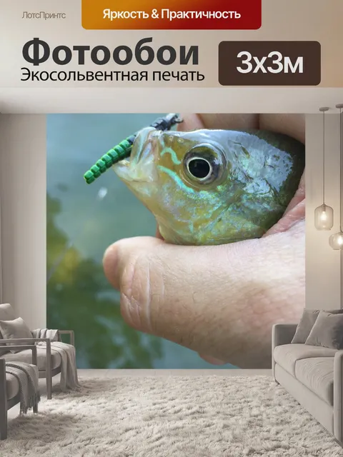 Фотообои Рыбы