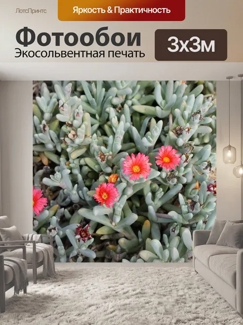 Фотообои Пляж
