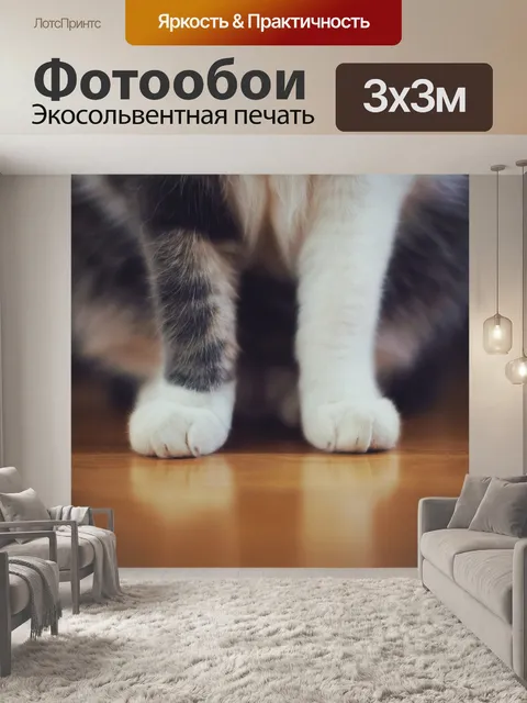 Фотообои Кошка
