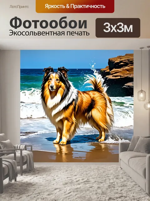 Фотообои грубая колли, стоящая на берегу бурного океана, ветер растрепал её шерсть, а волны разбиваются о скалы