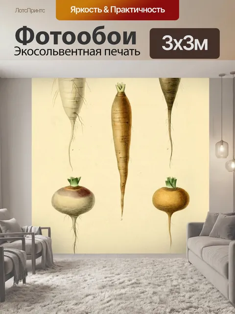 Фотообои Сад овощи винтаж старый