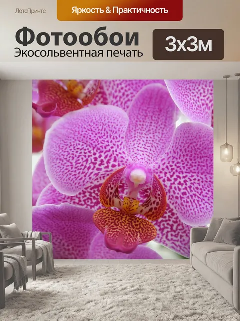 Фотообои Розовая орхидея