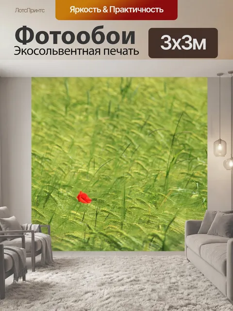 Фотообои Мак