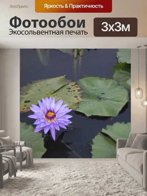 Фотообои Белая река
