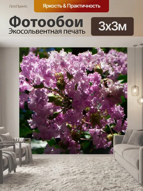 Фотообои Фиолетовый
