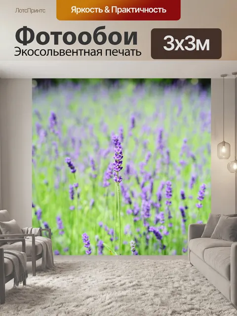 Фотообои Лаванда