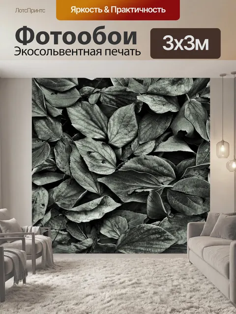 Фотообои Опавшие листья б &amp; W