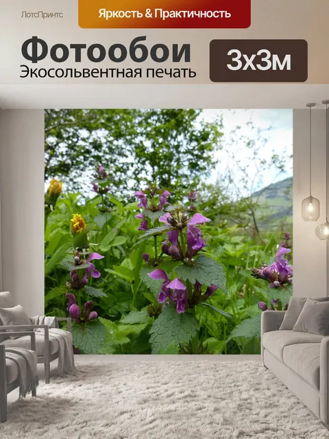 Фотообои Мертвая крапива