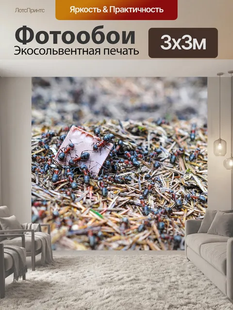 Фотообои Муравьи