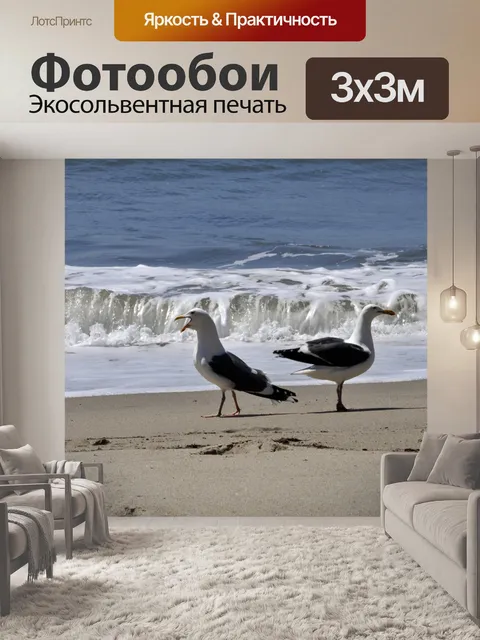 Фотообои Чайки