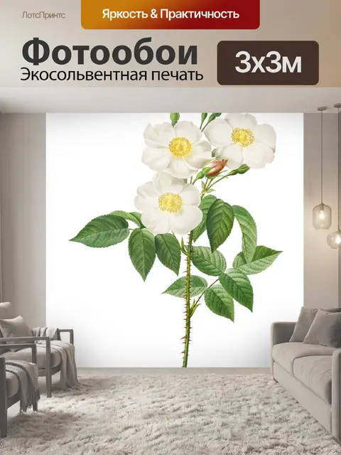 Фотообои Роза винтажное искусство старое