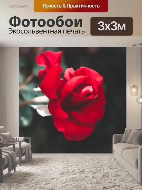 Фотообои Роза