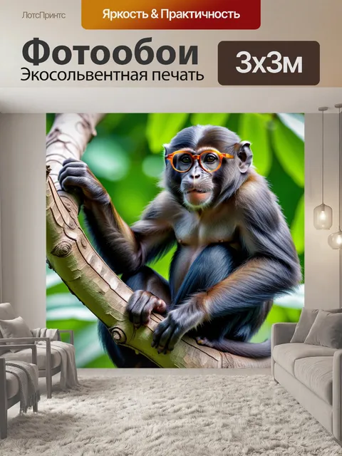 Фотообои обезьяна в очках, сидящая на ветке дерева