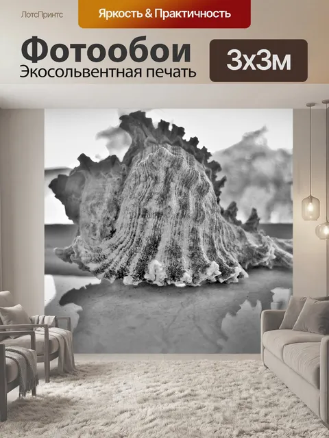 Фотообои морские раковины на подоконнике