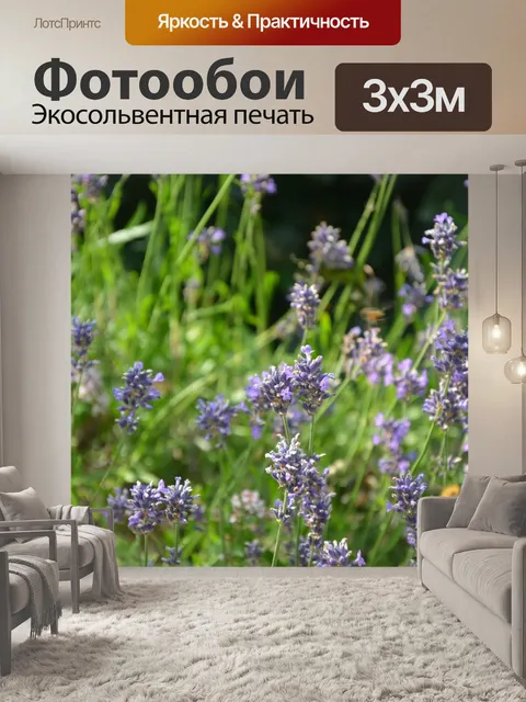 Фотообои Лаванда