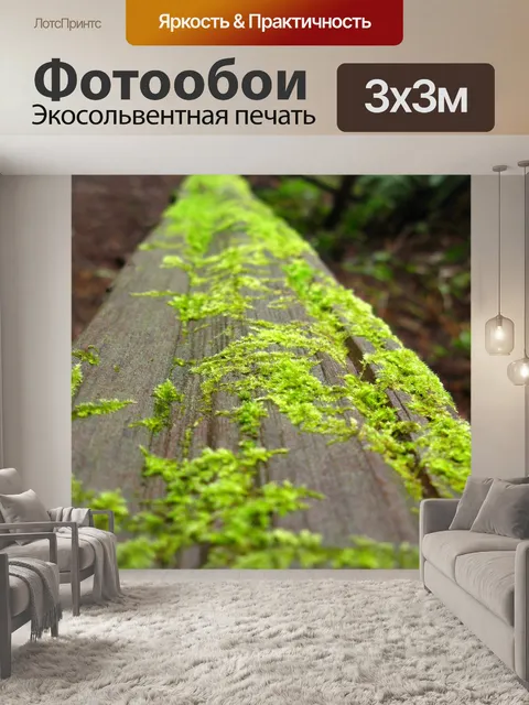 Фотообои Вход с зеленым мхом