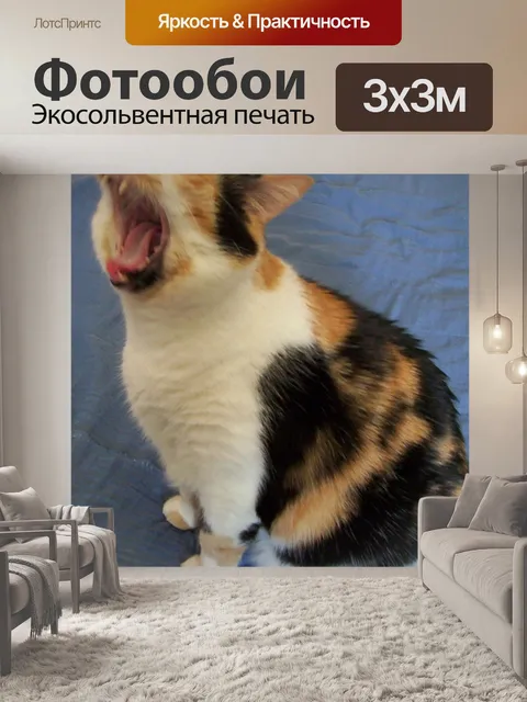 Фотообои Cat Nap attack