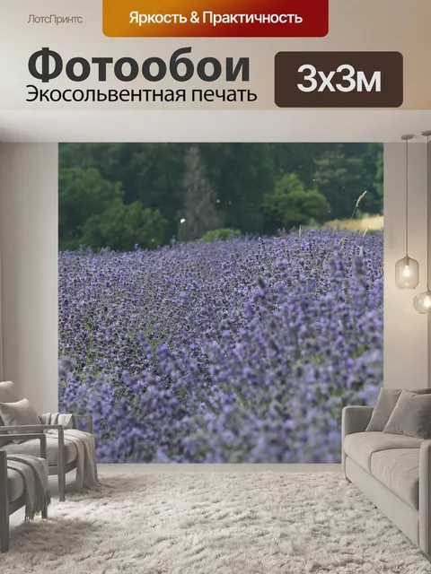 Фотообои Лаванда
