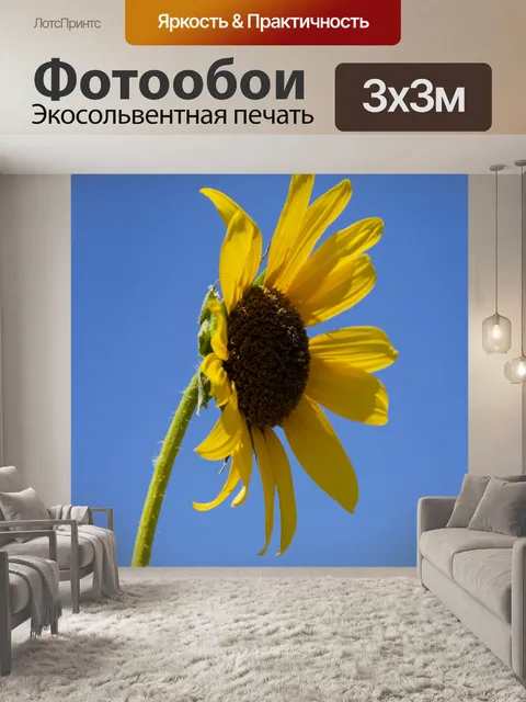Фотообои подсолнух