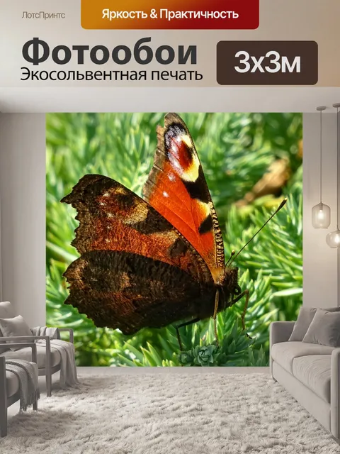 Фотообои Садовая бабочка