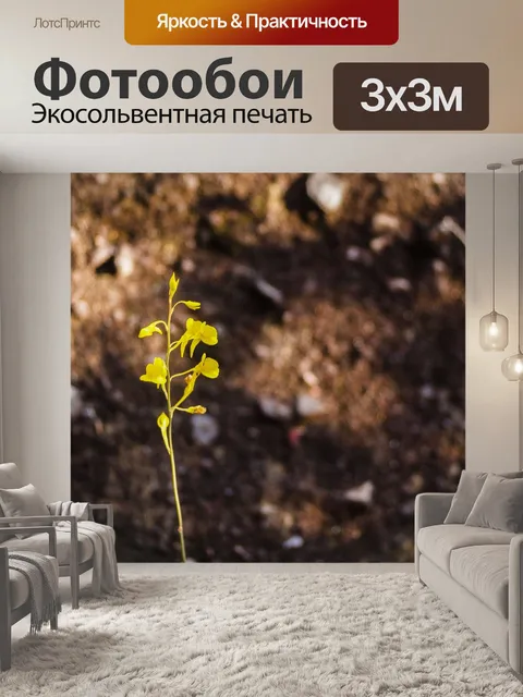 Фотообои Трава цветочное поле, полевые цветы