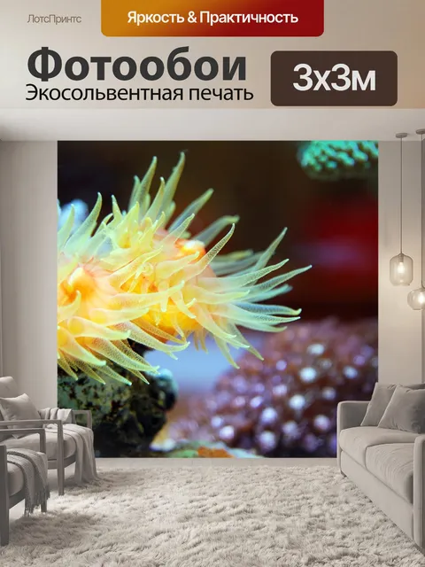 Фотообои Коралл