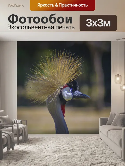 Фотообои Кран