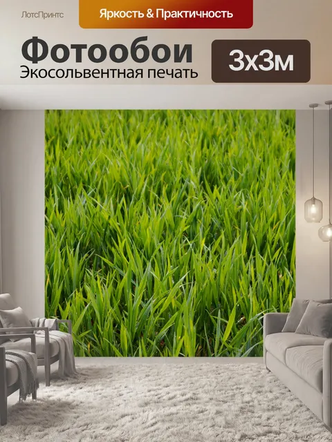 Фотообои Травяные травы луговые зеленые