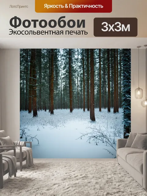 Фотообои пейзаж в стиле минимализм: минималистичный зимний лес