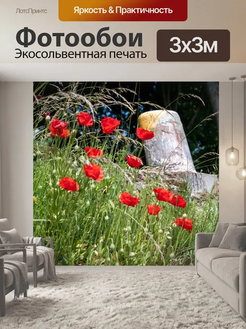 Фотообои Красный цветок, мак