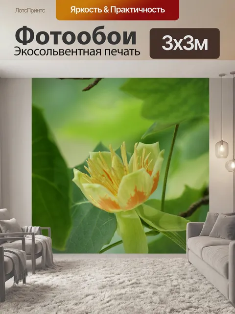 Фотообои Лириодендрон тюльпановое дерево