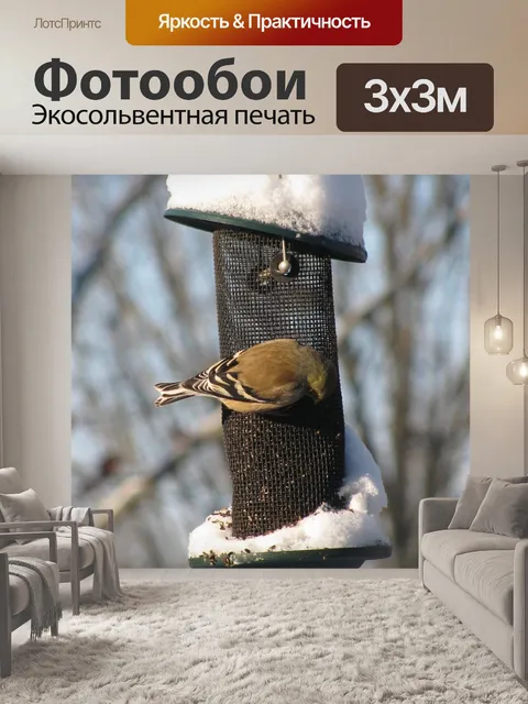 Фотообои Птица