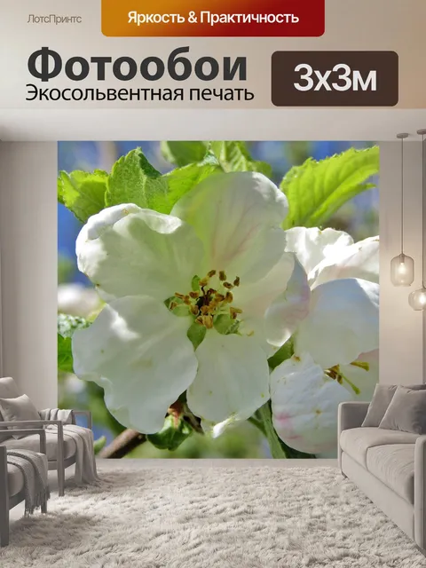 Фотообои Яблоневый цвет