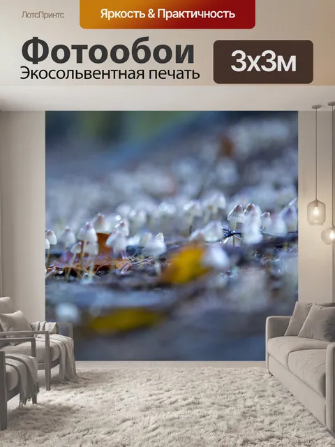 Фотообои Маленькие грибы