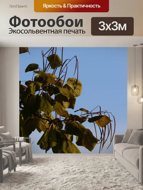 Фотообои Труба