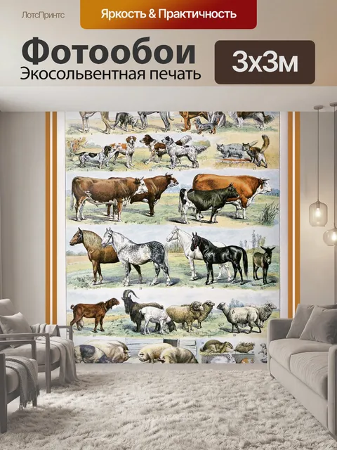 Фотообои Млекопитающие от Адольфа Милло - D