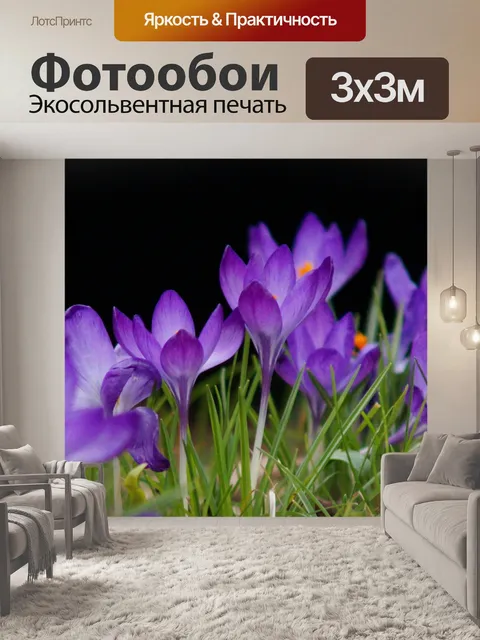 Фотообои Крокусы цветы цветут весна