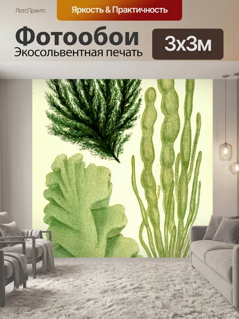 Фотообои Коралловое Средиземноморье Винтажное Иск