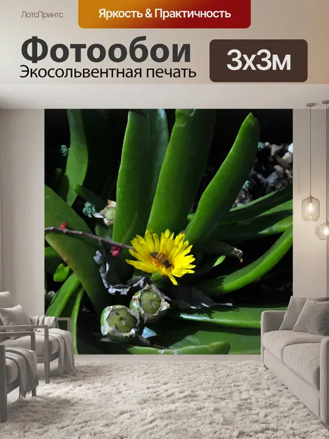 Фотообои Пчела на суккулентном цветке