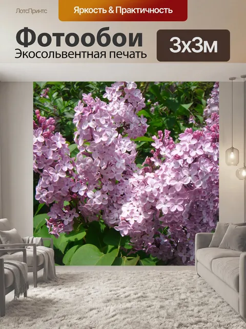Фотообои цветы сирени