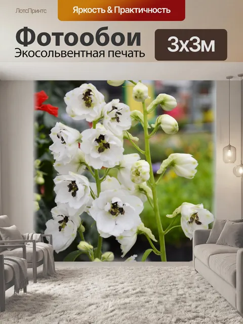Фотообои Голландские цветы в садах 74
