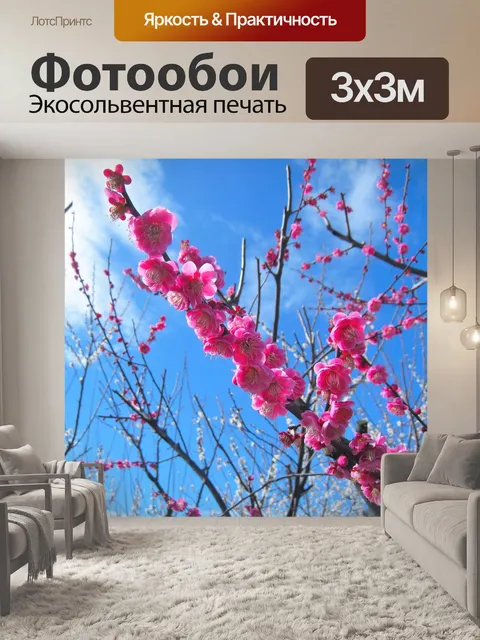 Фотообои Персик