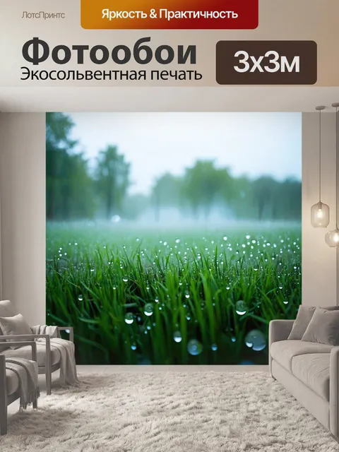 Фотообои туман в стиле романтизм, тихие мирные пейзажи с покрытыми туманом прудами и блестящими каплями росы