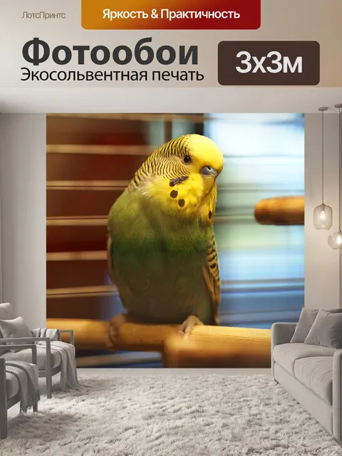 Фотообои Волнистый попугайчик