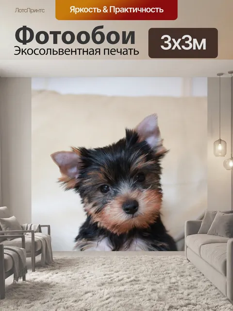 Фотообои Щенок