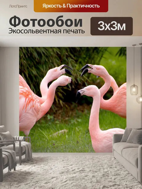 Фотообои Фламинго