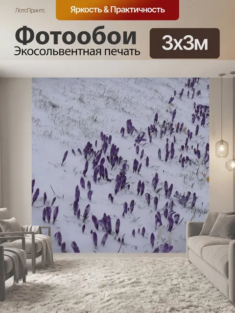 Фотообои Сиреневый Крокус в снегу