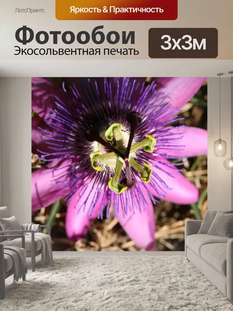 Фотообои Макрос