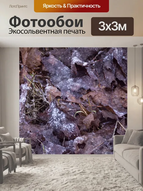 Фотообои матовые опавшие листья